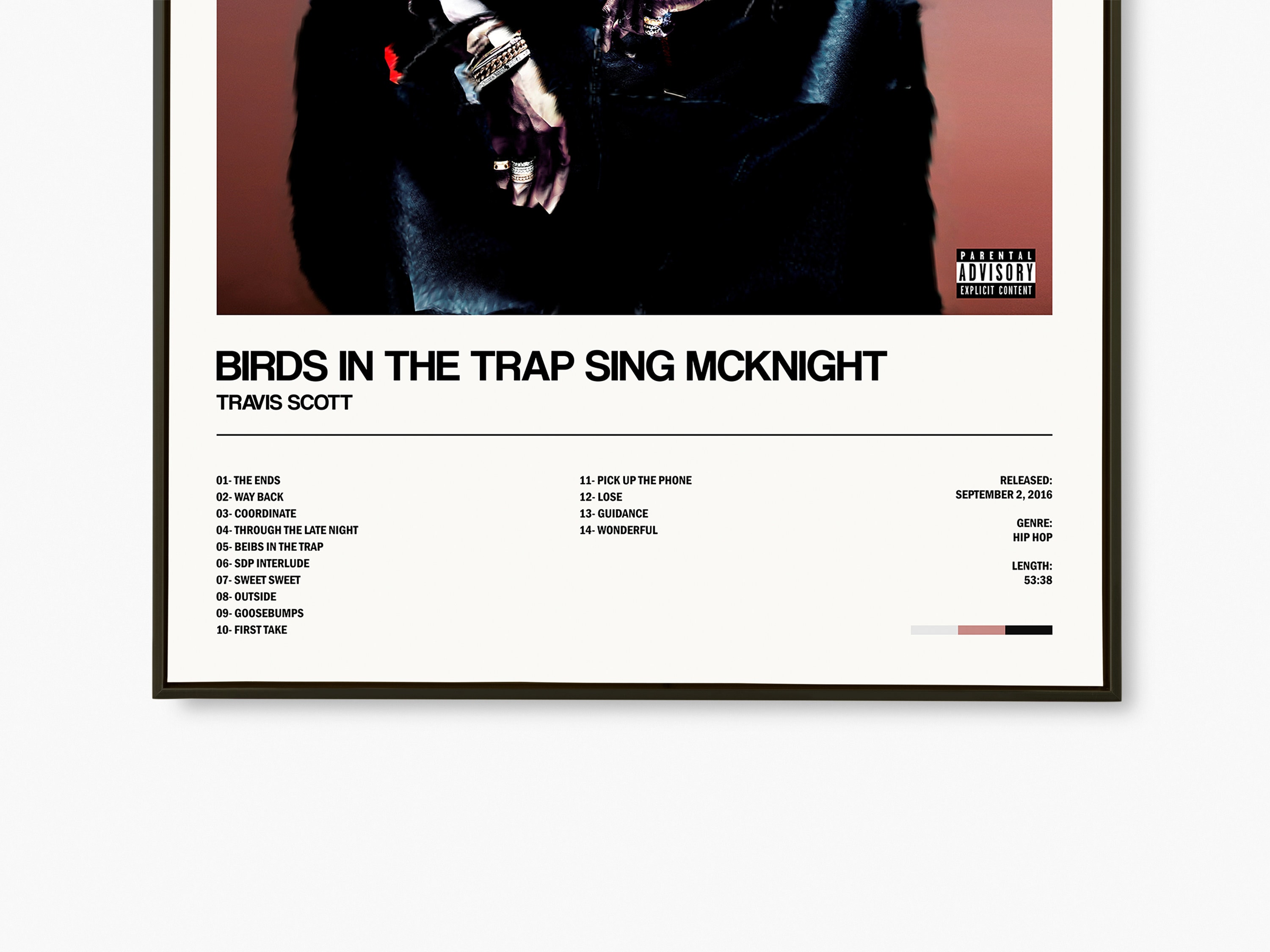 Poster Su Tela Travis Scott McKnight 40x60 Cm – Uccelli In Trappola, Decorazione Camera Da Letto