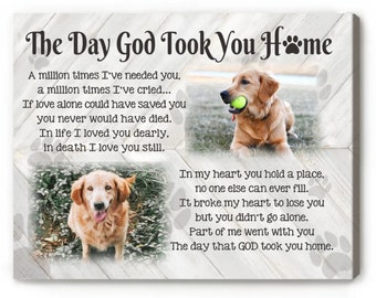 Peut inclure: Une impression murale rectangulaire sur fond de planches de bois blanc avec des empreintes de pattes grises. Elle présente deux photos d'un golden retriever, l'une avec une balle verte et l'autre dans l'herbe, avec le texte The Day God Took You Home.