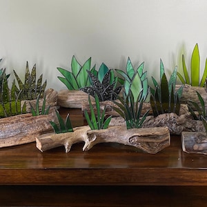 Stained Glass Cactus & Agave on Driftwood Base - Desert Decor