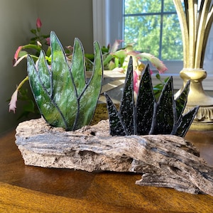 Stained Glass Cactus Succulent on Driftwood: Desert Decor - 10 different designs