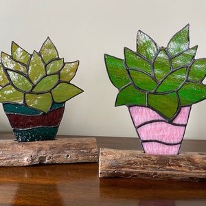 Stained Glass Potted Succulent Cactus Aloe inlaid on Driftwood Base - various colour options available