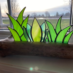 Stained Glass Cactus Agave Succulents Arrangement Inlaid on a Driftwood Base