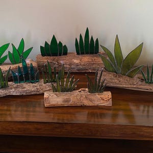 Stained Glass Cactus Succulent Arrangement on Driftwood Base - 5 different designs