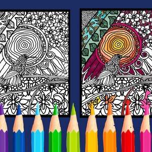 Coloring pages for everyone | digital download | bold intricate drawings | fun or relaxing activity