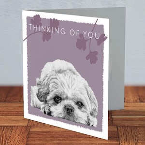 Shih Tzu - pensant à vous carte de vœux | amoureux des chiens, maman shih tzu, papa shih tzu, carte pour elle, carte bien pensée, amant shih tzu