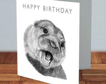 Otter Birthday Card 15 x 15 cm by MJLArt