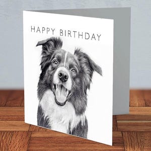 Border Collie - Tarjeta de cumpleaños / amante de los perros, dueño de un collie, cumpleaños de un amigo, cumpleaños de un perro, tarjeta para mamá, tarjeta para papá, tarjeta hecha a mano