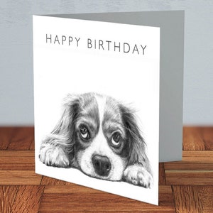 Cavalier King Charles Spaniel - Carte D'anniversaire | amoureux des chiens, propriétaire d'un épagneul, anniversaire d'un ami, anniversaire de chien, carte pour maman, carte pour papa, art