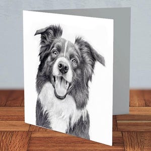 Border Collie - Tarjeta de felicitación / amante de los perros, dueño de un collie, regalo para un amigo, tarjeta de agradecimiento, tarjeta para mamá, tarjeta para papá, tarjeta hecha a mano