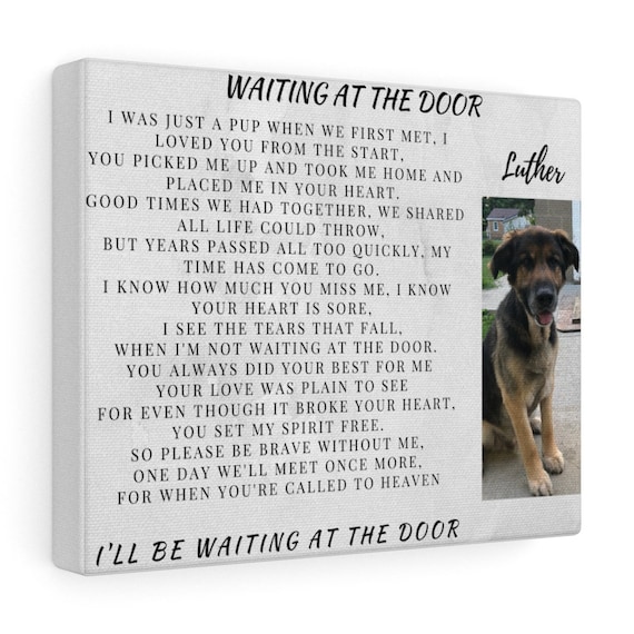 Canvas | Forever Pet | Rememberance | Loss of Pet | Memorial | Gift | Memory | Dog | Cat | Any Pet | Personalized