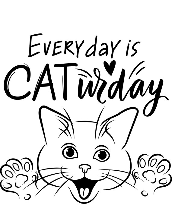 Everyday is Caturday | Peeking Cat Caturday | Peeking Cat | Cute Cat | Cat svg | Cat png | Digital Download | instant | Kitten Play