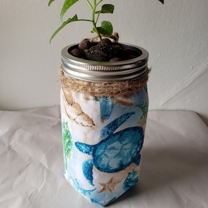 Puede incluir: Una pequeña planta verde creciendo en un frasco de vidrio con tapa plateada. El frasco está envuelto en una tela con un diseño de tortuga marina azul y blanca.