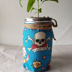 Hydroponic Jar Kit with Pirate Theme (hot pepper seeds included!)