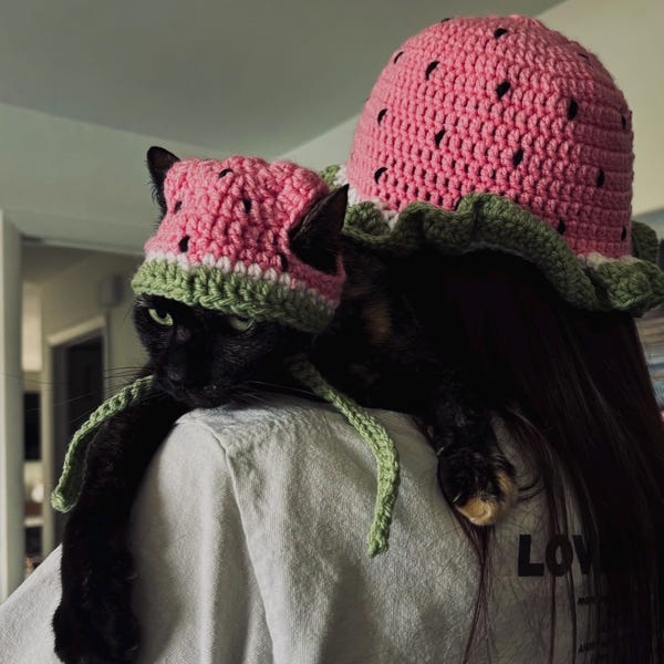 Matching Crochet Watermelon Hats for Cats and Owner