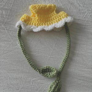 Crochet Daisy Hat for cats and small dogs