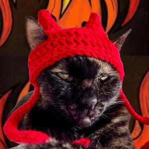 May include: A bright red crocheted hat designed for a cat, featuring two pointed devil-like horns on top and long braided ties hanging down on each side. The hat is crafted with a thick, textured yarn stitch and fits snugly over the ears.