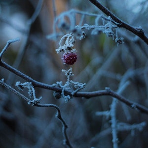 Winter wallpaper pack