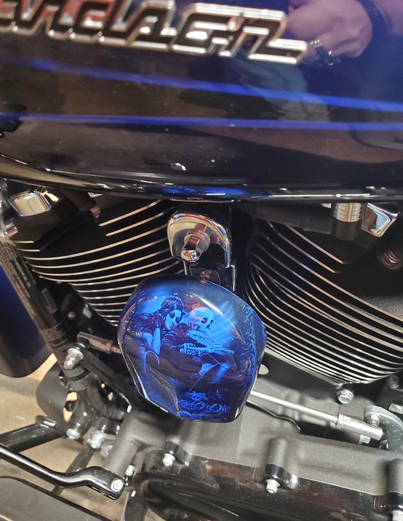 Harley Davidson Custom Horn Cover Biker Babe Etsy