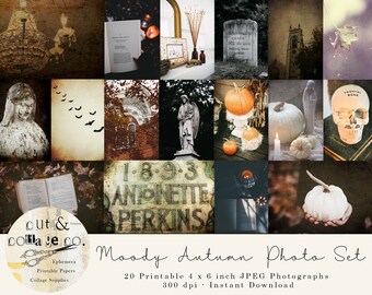 Moody Autumn Fall Photography Collage Set for Art Journals, Crafts, Mood Board, Halloween Decor | INCLUDES 20 4x6 Printable JPEG Files