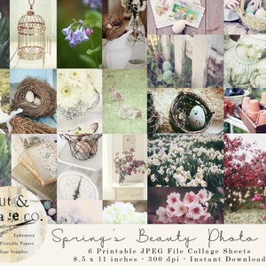 Spring&#39;s Beauty Printable Photograph Collage Sheets for Art Journals, Scrapbooking, Mood Board, Photo Display INCLUDES 48 Images on 6 Pages