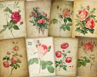 Vintage ROSES over LACE Printable Shabby Ephemera for Junk Journals, Collage Art, Scrapbooking, Altered Art, Crafts, Cardmaking