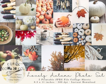 Lovely Autumn Fall Photography Printable Collage Sheets for Art Journals, Scrapbooking, Mood Board, Photo Display 40+ Images on 5 Pages