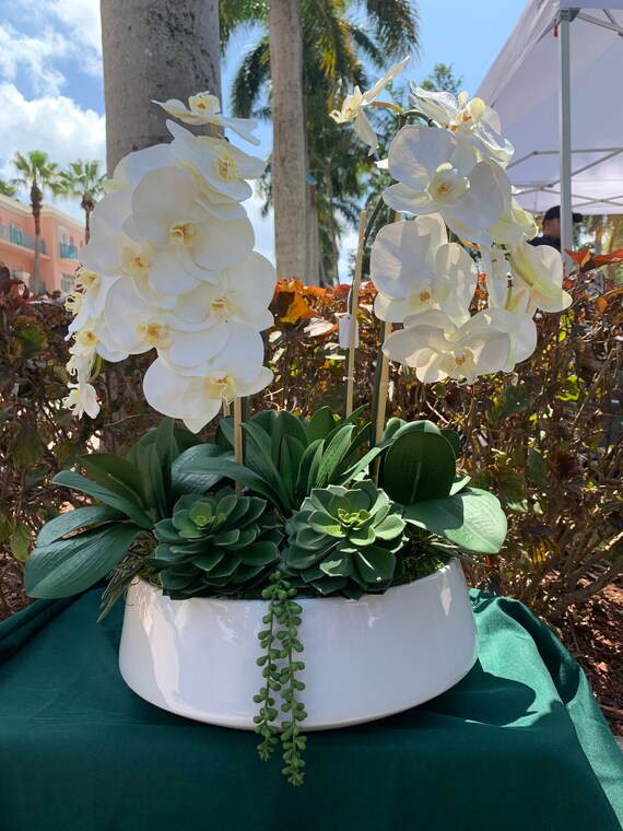 Large White Silk Orchid & Succulent Arrangement