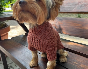 May include: A small Yorkshire Terrier dog with tan and black fur wearing a rust-coloured, cable-knit jumper. The jumper features a ribbed collar, ribbed cuffs on the short sleeves, and a textured vertical pattern across the chest and back.