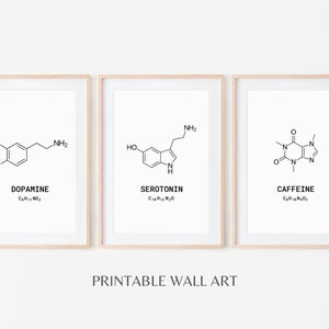 S.T.E.M. Molecular Wall Art for Science Teachers, Chemical Structures, Chemistry Classroom Decor, Printable Instant Download