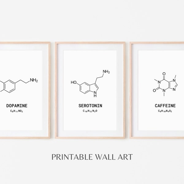 S.T.E.M. Molecular Wall Art for Science Teachers, Chemical Structures, Chemistry Classroom Decor, Printable Instant Download