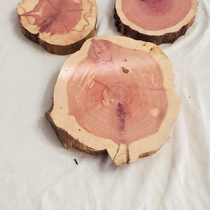 May include: Four cedar wood slices with natural edges. The slices vary in size and shape, showcasing the wood's reddish-pink heartwood and lighter sapwood. These rustic coasters or decorative pieces are displayed on a white surface.