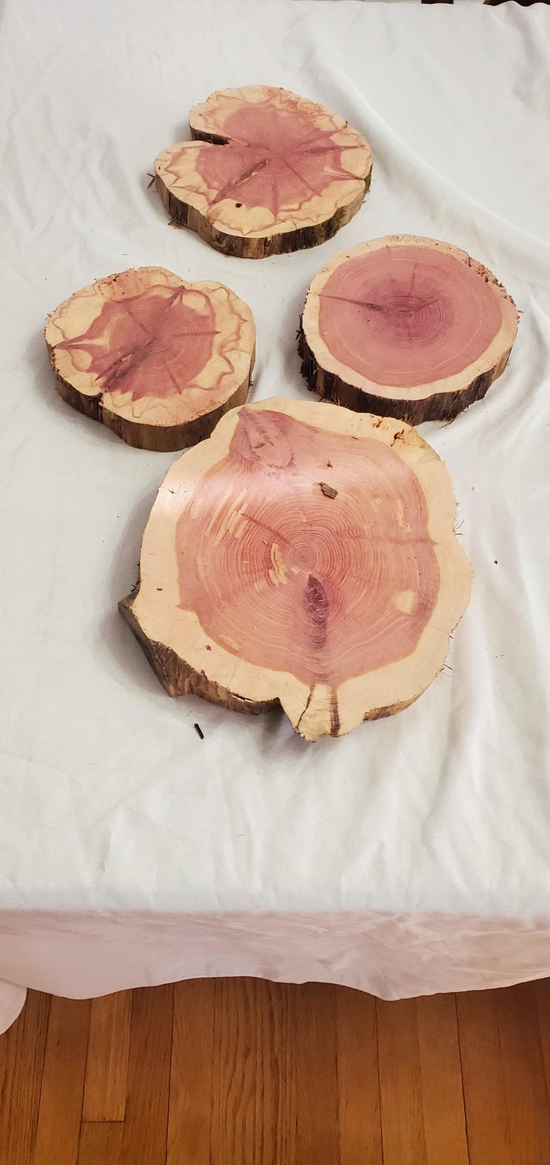 Eastern Red Cedar Wood Cookie Slices 7