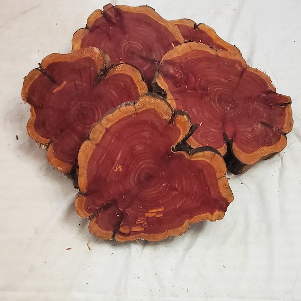 Eastern Red Cedar Wood cookie slices 7", 8", 9”, and 10" live edge rounds stabilized, sanded one side. Strikingly beautiful centerpieces!