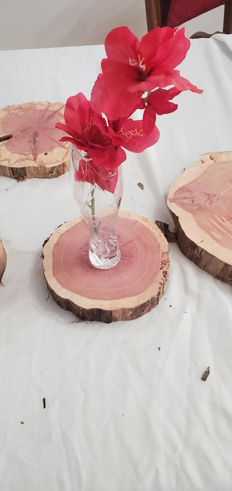 Eastern Red Cedar Wood Cookie Slices 7
