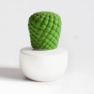 May include: A white ceramic diffuser with a green ceramic cactus on top. The cactus has a textured surface and is a light green color.
