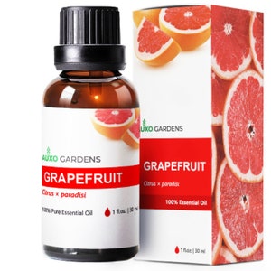 Grapefruit Essential Oil 1 oz -100% Natural and Pure Therapeutic Grade-Premium Quality Italian Grapefruit Oil