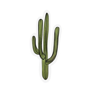 Saguaro Cactus Sticker | clear cactus sticker | waterproof water bottle sticker | laptop sticker | plant sticker