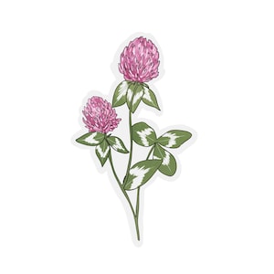 Transparent Clover Flower Sticker | clear clover sticker | waterproof water bottle sticker | laptop sticker | plant sticker