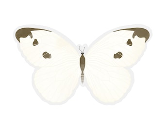 Cabbage Moth Transparent Sticker | clear moth sticker | waterproof water bottle sticker | laptop sticker | animal art