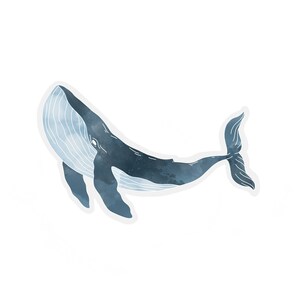 May include: A watercolor illustration of a blue whale with a white outline. The whale is swimming upwards with its mouth open.