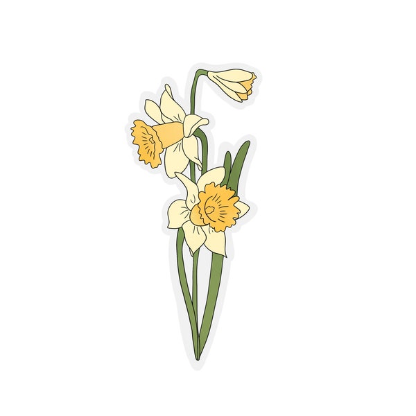 Daffodil Flower Transparent Sticker | clear Daffodil sticker | waterproof water bottle sticker | laptop sticker | plant sticker