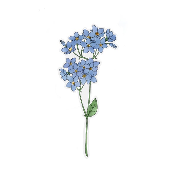 Transparent Forget Me Not Flower Sticker | clear flower sticker | waterproof water bottle sticker | laptop sticker | plant sticker