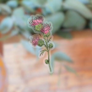 Transparent Milk Thistle Flower Sticker | clear flower sticker | waterproof water bottle sticker | laptop sticker | plant sticker