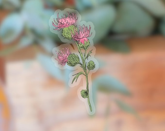 Transparent Milk Thistle Flower Sticker | clear flower sticker | waterproof water bottle sticker | laptop sticker | plant sticker