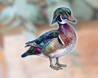 Wood Duck Transparent Sticker | waterproof water bottle sticker | laptop sticker | animal art