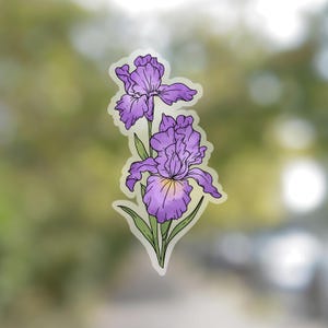May include: A purple iris flower with a yellow center. The flower is drawn in a simple, stylized way, with a few leaves.
