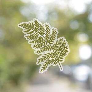 May include: A green fern frond with delicate, intricate leaves. The fern is isolated against a blurred background of green and white.
