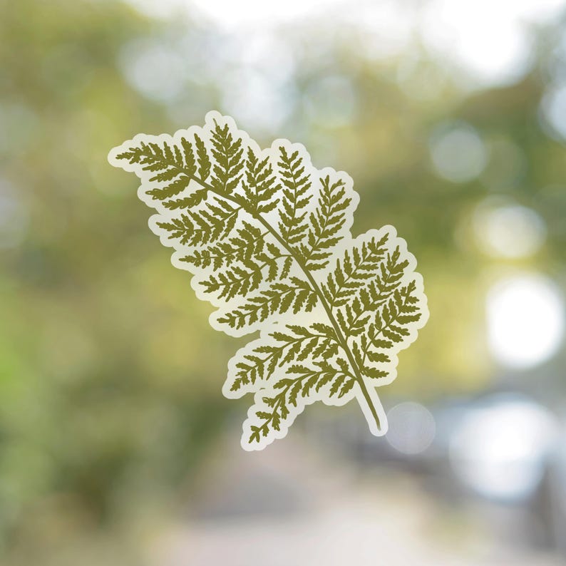 May include: A green fern frond with delicate, intricate leaves. The fern is isolated against a blurred background of green and white.