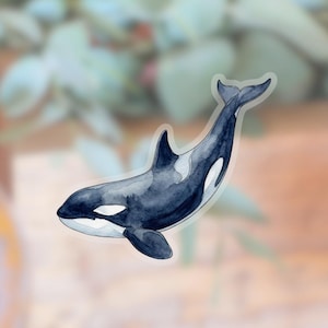 May include: A watercolor sticker of an orca whale. The whale is primarily dark blue with white markings around the eyes and belly. The sticker has a clear border and is set against a blurred background of green and peach tones.