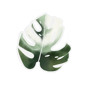 Transparent Monstera Sticker | clear plant sticker | waterproof water bottle sticker | laptop sticker | plant art